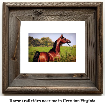 horse trail rides near me in Herndon, Virginia